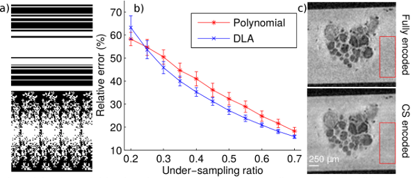Fig. 1 (a) Polynomial (top) and DLA (bottom) under-sampling trajectories; (b) Mean relative error between fully encoded and CS images for polynomial (red) and DLA (blue); (c) Fully encoded (top) and CS (bottom) images of abdominal ganglia Get